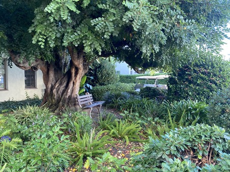 Enlarge photo 6