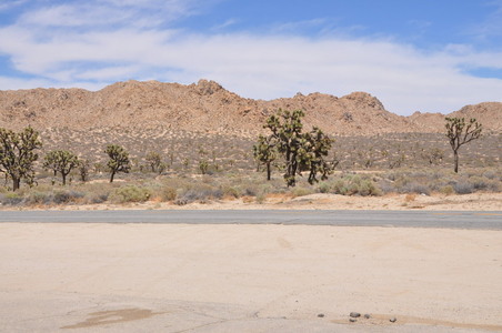 Enlarge photo 138
