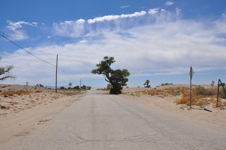 Enlarge photo 85