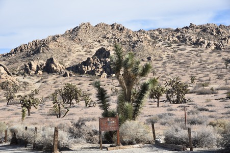 Enlarge photo 53