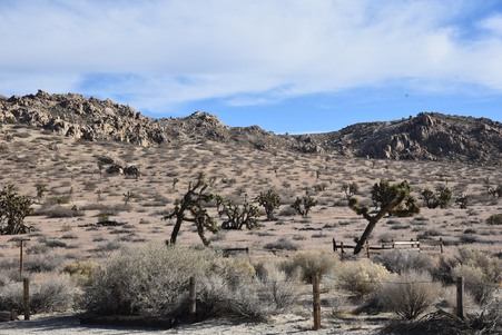 Enlarge photo 52