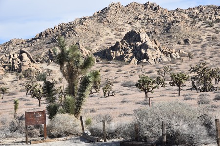 Enlarge photo 57