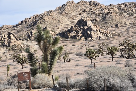 Enlarge photo 59