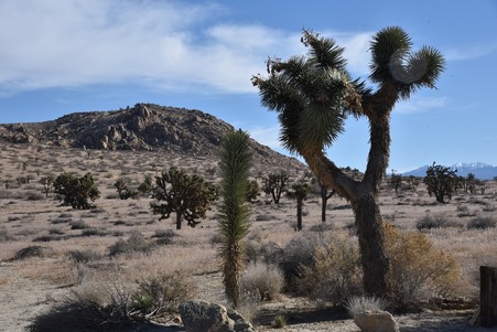 Enlarge photo 62