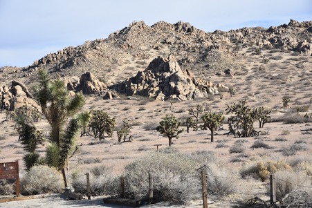 Enlarge photo 63