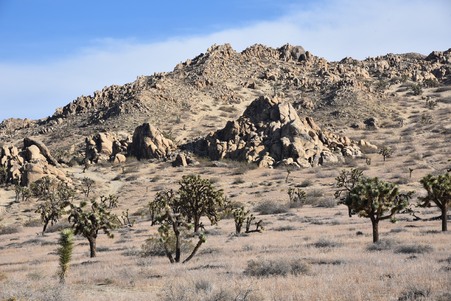 Enlarge photo 69