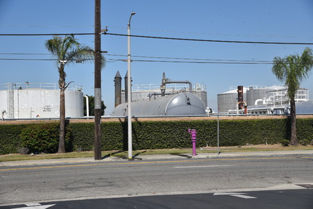 Enlarge photo 31