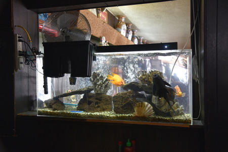 Enlarge photo 25