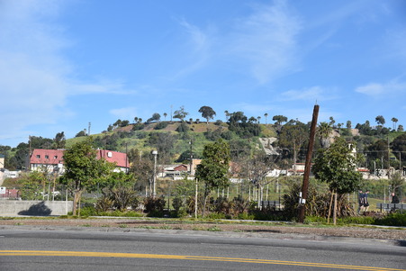 Enlarge photo 14