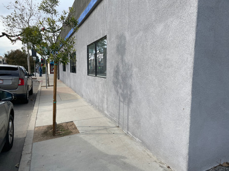Enlarge photo 49
