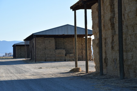 Kyle and Kyle ranch