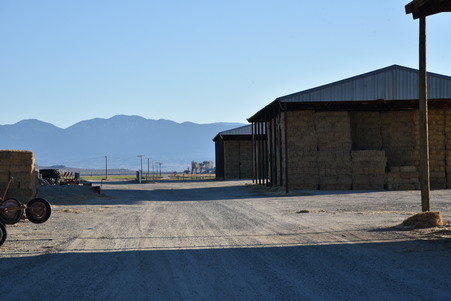 Enlarge photo 2