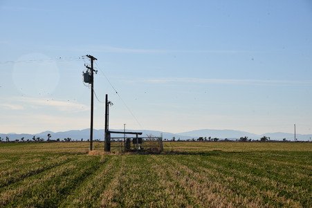 Enlarge photo 11