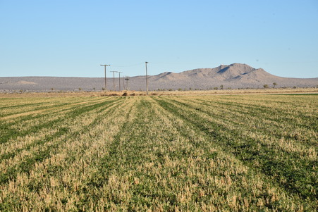 Enlarge photo 13