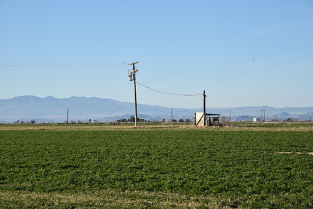 Enlarge photo 25