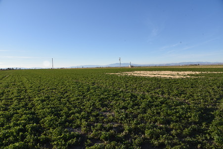 Enlarge photo 26