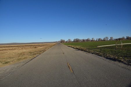 Enlarge photo 40