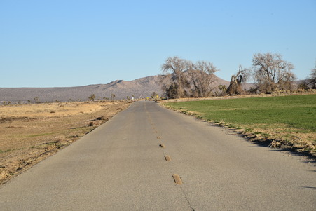 Enlarge photo 42