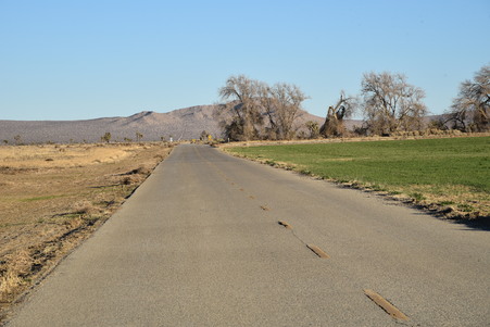 Enlarge photo 45