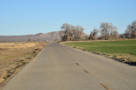 Enlarge photo 47