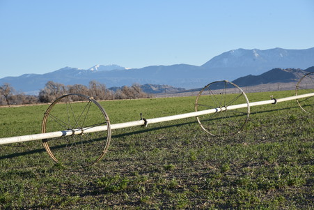Enlarge photo 50