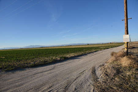 Enlarge photo 53