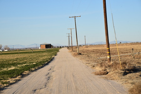 Enlarge photo 55