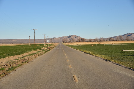Enlarge photo 58