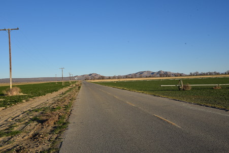 Enlarge photo 59