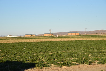 Enlarge photo 62