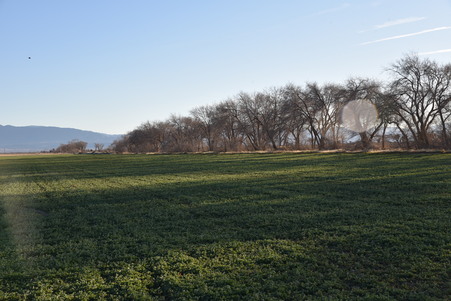 Enlarge photo 63