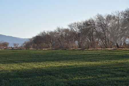 Enlarge photo 64