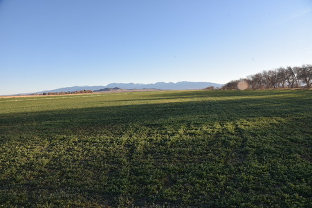Enlarge photo 65