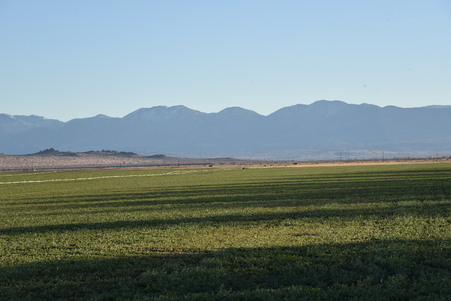 Enlarge photo 67