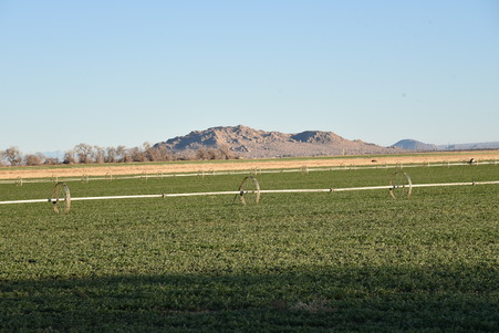 Enlarge photo 66