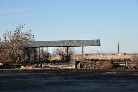 Enlarge photo 69