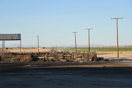 Enlarge photo 70