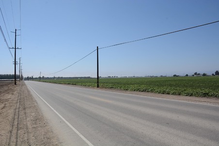 Enlarge photo 21