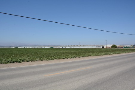 Enlarge photo 25