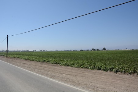Enlarge photo 33