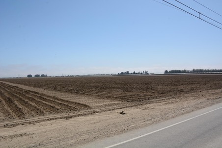 Enlarge photo 37