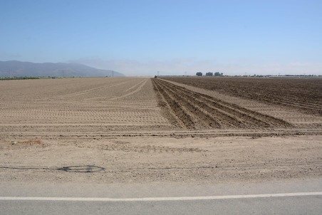 Enlarge photo 38