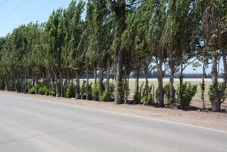 Enlarge photo 6