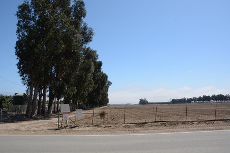 Enlarge photo 18