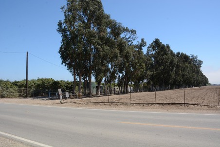 Enlarge photo 20