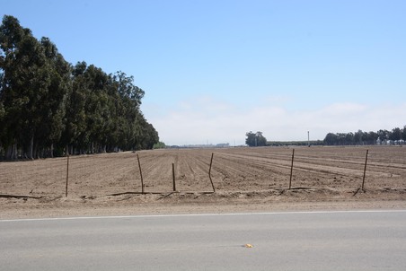 Enlarge photo 27