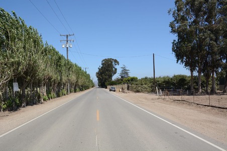 Enlarge photo 30
