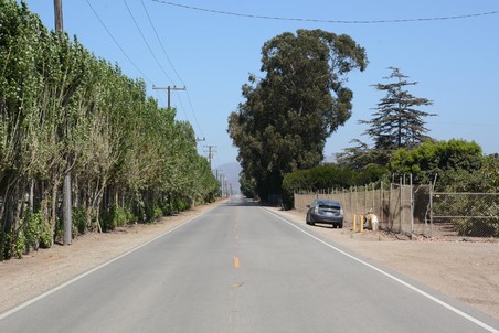 Enlarge photo 31