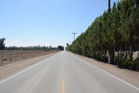 Enlarge photo 32