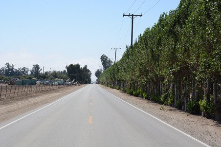 Enlarge photo 33